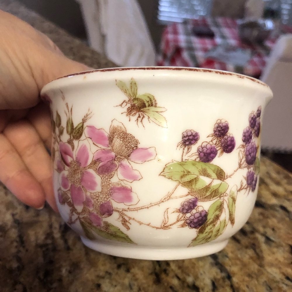 Vintage 1912 Porcelain Teacup hand painted Blackberry Antique TeaSet Collectible
